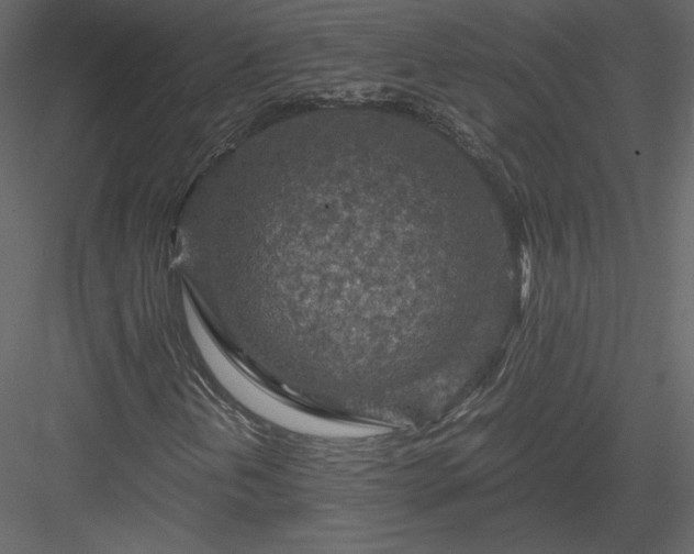 X0000084031202200702232249