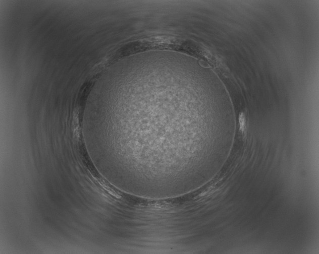 X0000084031203200702232249