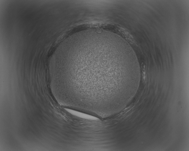 X0000084031204200702232249