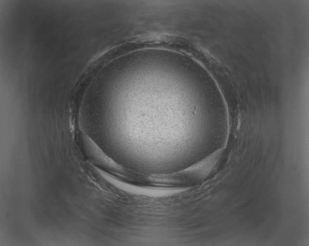 X0000084031206200702232249