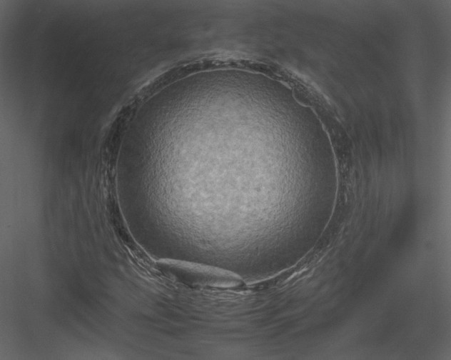 X0000084031207200702232249