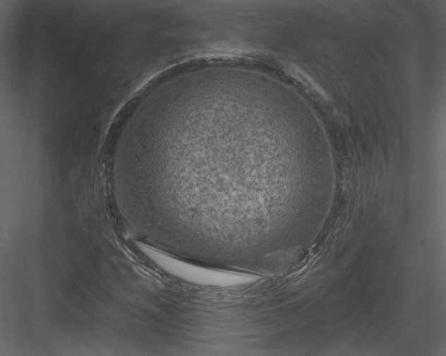 X0000084031208200702232249