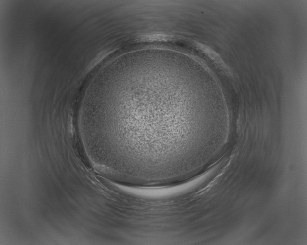 X0000084031209200702232249