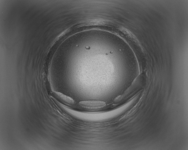 X0000084031210200702232249