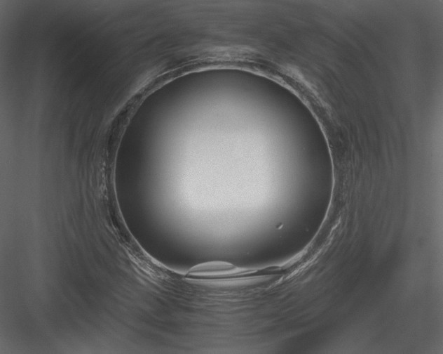 X0000084031211200702232249