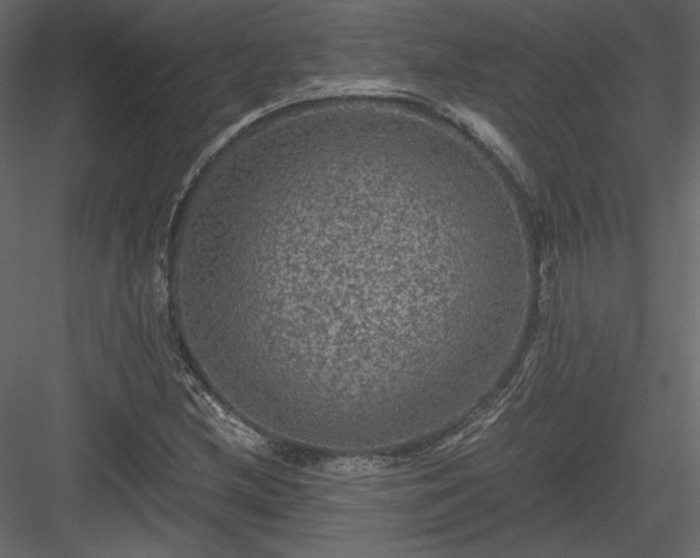 X0000084031212200702232249