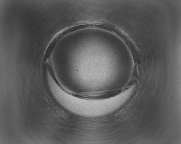 X0000084031214200702232249