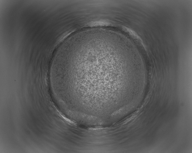 X0000084031217200702232249