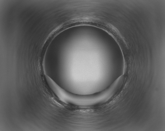 X0000084031218200702232249