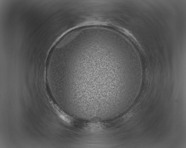 X0000084031220200702232249