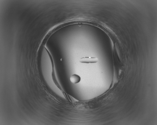 X0000084031222200702232249