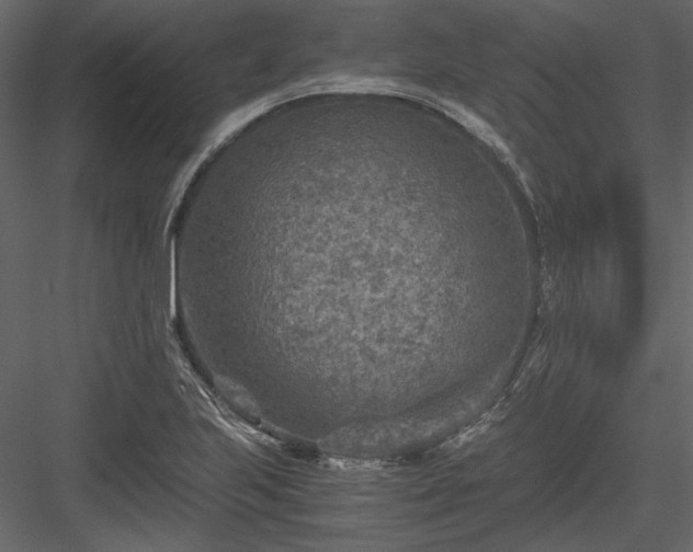 X0000084031223200702232249