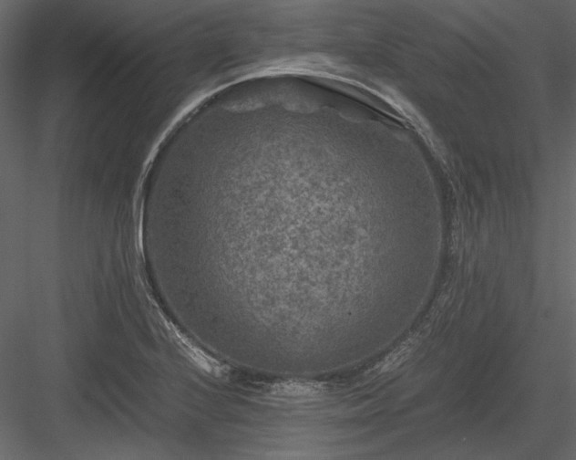 X0000084031224200702232249