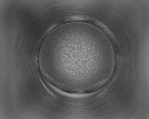 X0000084031225200702232249