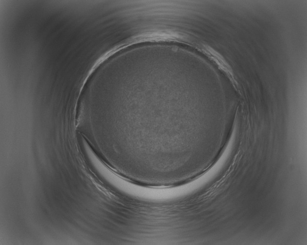 X0000084031226200702232249