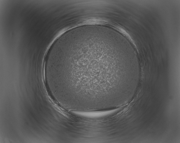 X0000084031227200702232249