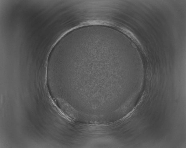 X0000084031228200702232249