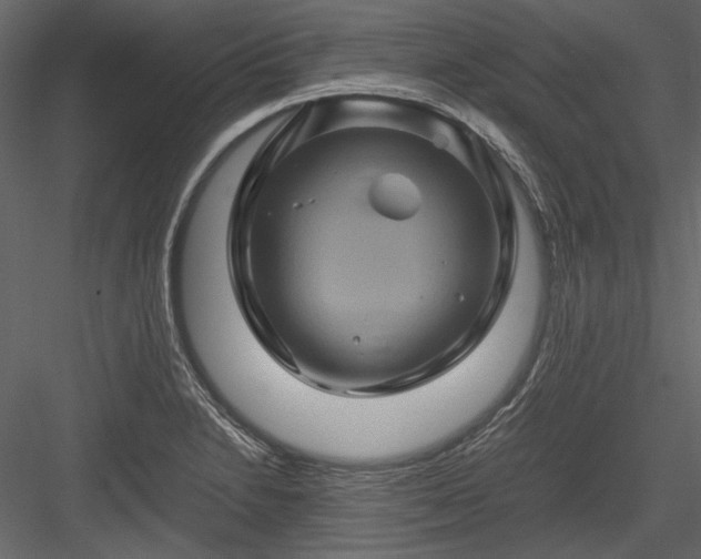 X0000084031230200702232249