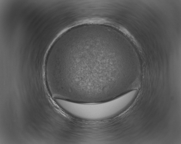 X0000084031232200702232250