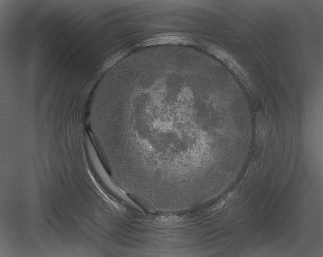 X0000084031233200702232250