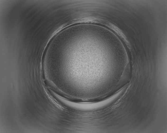 X0000084031234200702232250