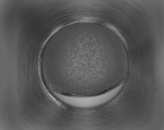 X0000084031235200702232250