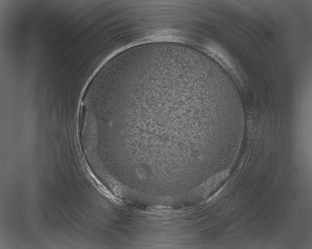 X0000084031236200702232250