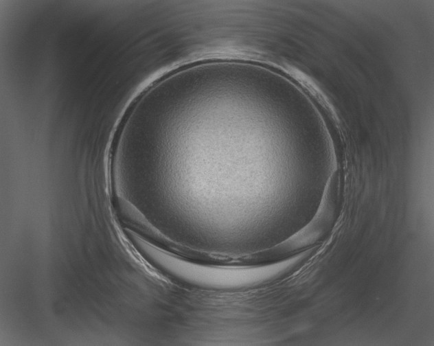 X0000084031238200702232250