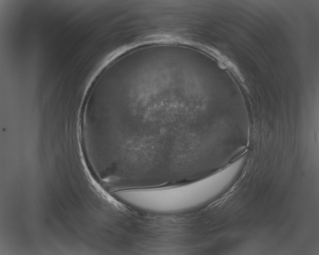 X0000084031239200702232250