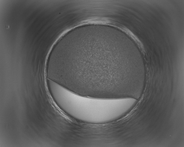 X0000084031240200702232250