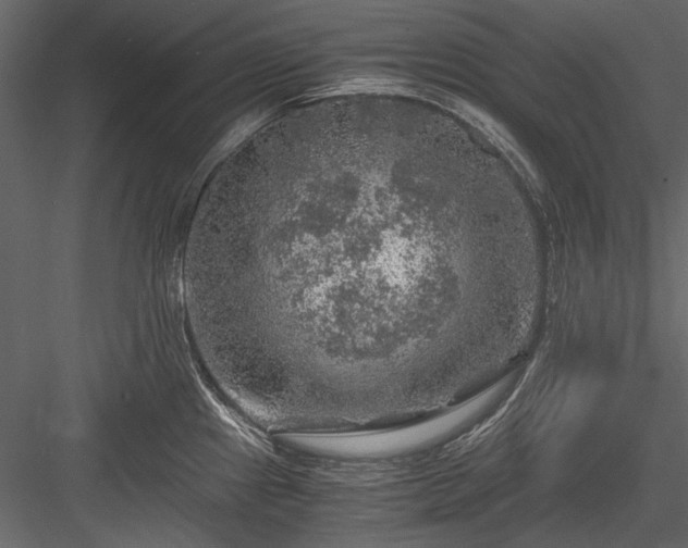 X0000084031241200702232250