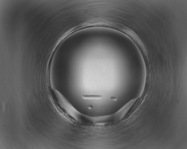 X0000084031242200702232250