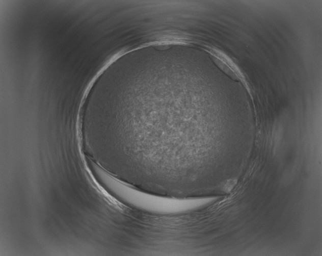 X0000084031243200702232250