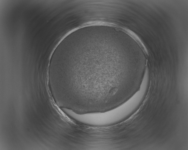 X0000084031244200702232250