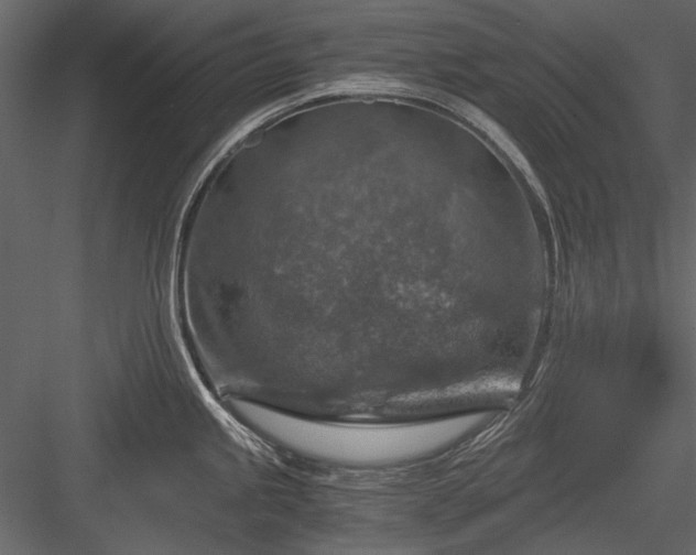 X0000084031245200702232250