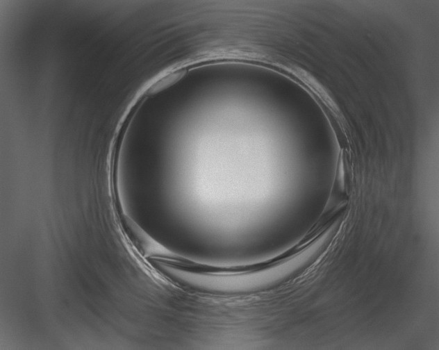 X0000084031246200702232250