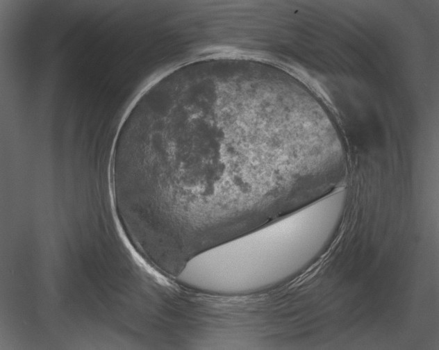 X0000084031247200702232250