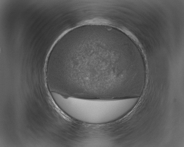 X0000084031248200702232250