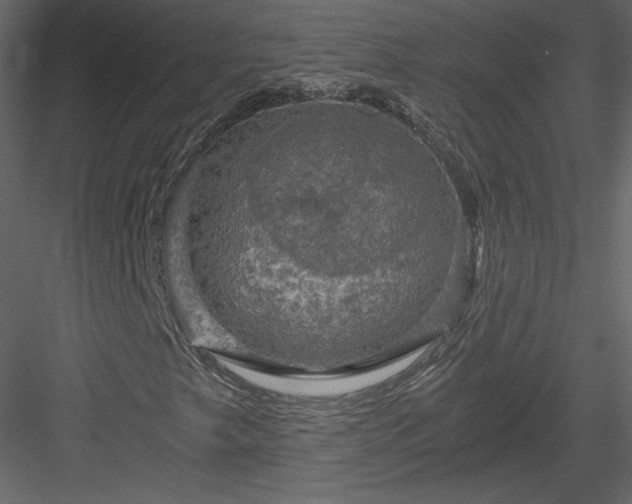 X0000084031249200702232249