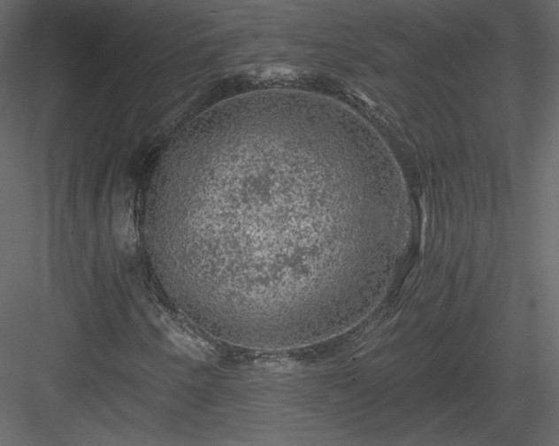 X0000084031250200702232249