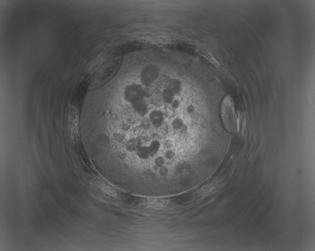 X0000084031251200702232249