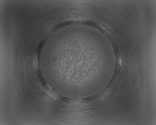 X0000084031252200702232249