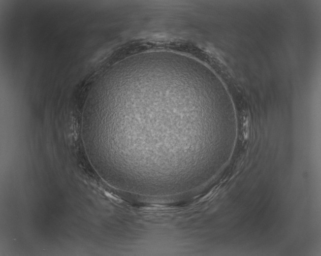 X0000084031253200702232249