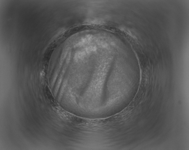 X0000084031254200702232249