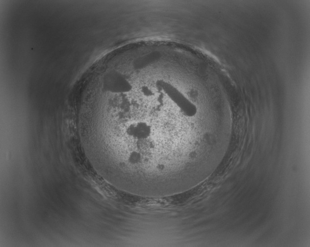 X0000084031255200702232249