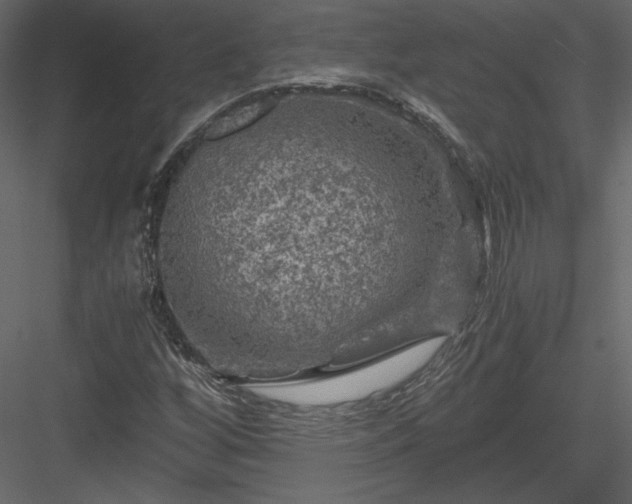 X0000084031256200702232249