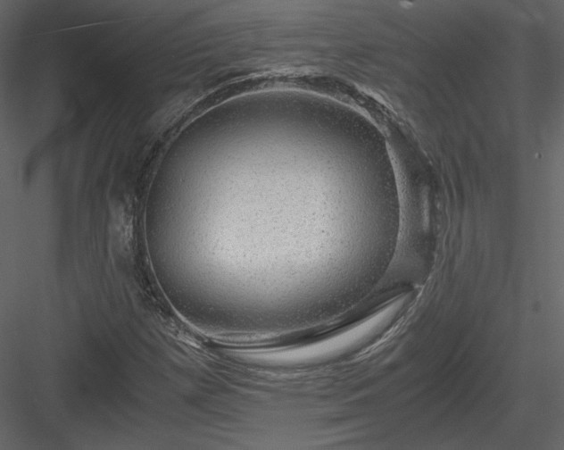 X0000084031257200702232249