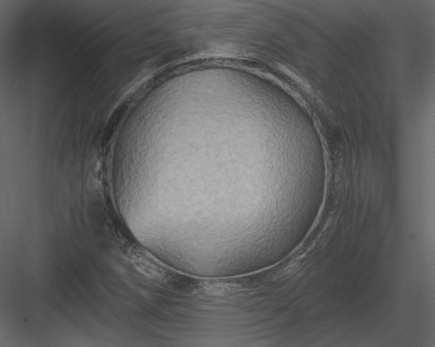 X0000084031258200702232249