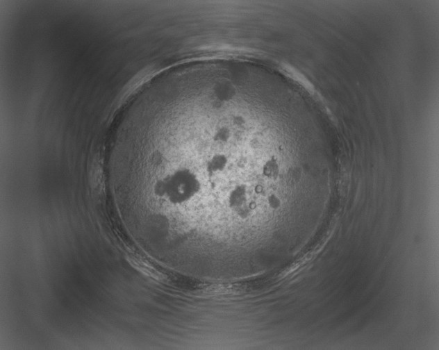 X0000084031259200702232249