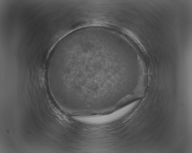 X0000084031260200702232249